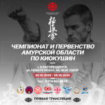 Чемпионат и первенство Амурской области по киокушин