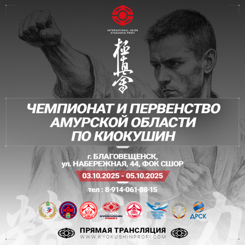Чемпионат и первенство Амурской области по киокушин